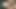 Bosnian_beauty yeni yıl kralı büyük zenci