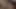Ateşli kızlar birlikte büyük bir dildoya binerken inliyor