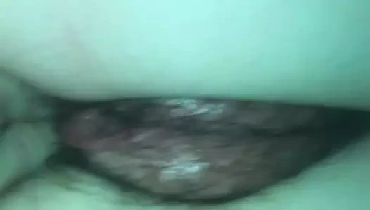 Onu ıslak kedi yakın çekim