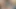 Göletin diğer tarafında göletin ortasında bir timsah var