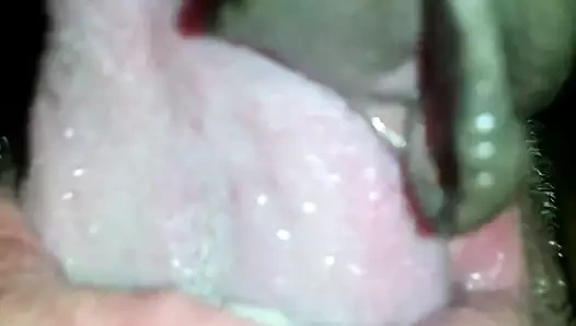 yeme tatlı siyah KEDİ