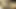 Bu porno videosunda adamdan daha iyi sikişen kim göster