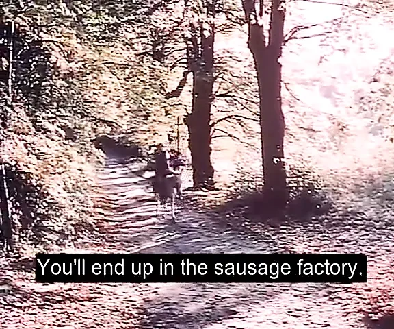 Die Stossburg (1974) Franz Mariska