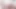 seksi tranny şehvetli sürmek horoz