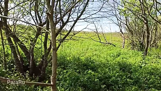 lanet olgun içinde nature köpek stili