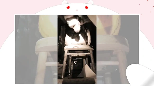 Eğlenceli potpourri ve balkabağı sevişmesi!