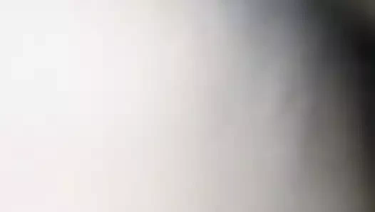 Porno yıldızı willi gets abanoz kedi için destroyer