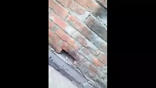 Bugün özel- sevimli desi kız onu b...