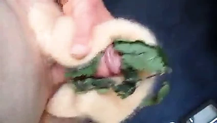 Isırgan otu ve tiftik mastürbasyon