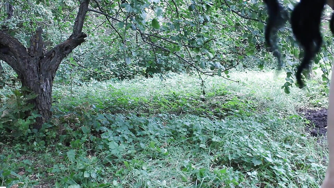 Doğa üzerinde 2