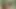 Busty ve ince abanoz lezbiyenler açık öpüşme ve kapalı yalama