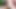 İki süper ateşli kız açık havada dildo ve birbirlerinin amlarıyla oynuyor