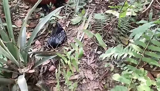 Lütfen beni çok çabuk sik, çünkü köylüler bu çalının içinde peşimizde