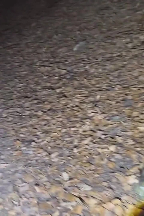 Gece yürüyüşü ve kıyafetlerimin çoğunu çıkar