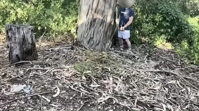 Amateur Straight Boy Caught Peeing Outdoors