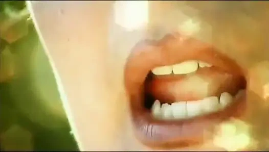 Kayıp orgazmı arıyor - dvd