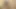 Ateşli ve seksi genç lezbiyenler birbirlerinin amını yalıyor