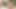 Emepictures - briseida myers'ın ağzına lezzetli ve ateşli boşalma