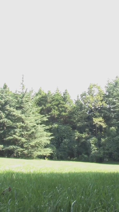 Asyalı hatuna golf öğretiyor ve diğer edepsiz şeyler