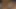 Üvey kız kardeşim amını külotuyla ovmama izin veriyor