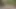 Vixen – seksi mary, içindeki teşhircinin oynamasına izin veriyor