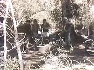 Küçük yetim tozlu