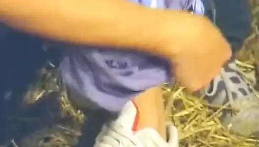 Almanya'dan sarışın bayan açık havada döl yiyor