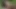 Azgın Japon kız Saya Tachibana açık havada güzel sakso çekiyor - olağanüstü porno!
