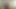 hundin milf nimmt es tief in den Mund