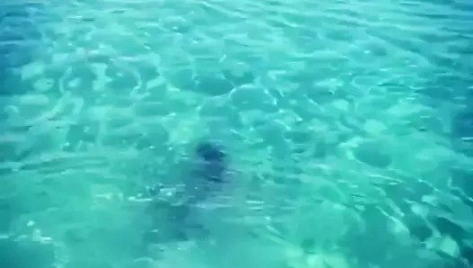 Brezilya Portekizcesi