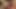 Yaramaz sarışın kız bir fotoğrafçıya amını parçalatıyor