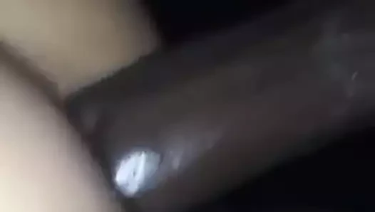 Siyah kral tarafından kullanılan zavallı beyaz kedi