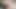 Cep kedi ile sulu eğlence - benim cumshot tutamıyorum