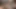Taze gravure modelleri birlikte yakalandı mucize beş yollu grup çekimi