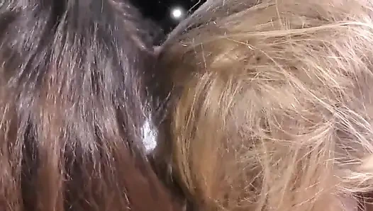 Sarışın ve esmer hatunlarla saç muamelesi