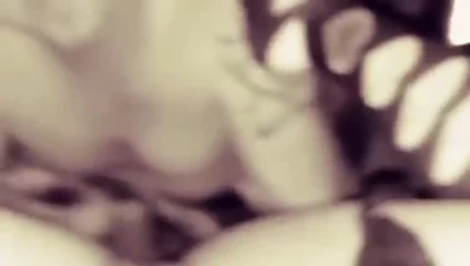 Mississippi'nin bu tarafında en tatlı en sıkı ıslak kedi