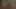 Vücut aşkı (restore edilmiş)