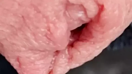 Yahimbehar yakın yukarı horoz
