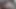 Lüks altılı son eski gravure güzellik iki adamı yoğun ve rekabetçi bir dölleme anına çekiyor