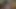 Prenses Kali ve Ian Frost