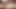 Leopar desenli iç çamaşırlı soluk tenli ladyboy onunla oynuyor