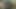 Zenci parmaklarını azdırıyor