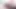 Blue Archive Asuna Cosplay - bir tavşan öğrenciyle ilk kez mi geliyorsun, öğretmen? 🐰