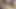 Latin kadın bağlı ve mikrofoam ile ağzı tıkalı (hd)