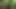 Fuck and Suck BIG Tits Stranger in Woods