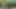 Family Fantasy: I'm Unfaithful To My Cuckold Boyfriend With My Stepfather In The Woods