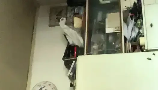 O gün evde çıplak yalnız