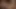 21 sextury - muhteşem shalina devine seksi zazie skymm ve bir vibratör ile çok eğleniyor