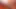 Beyaz boğanın sulu yarağıyla diriltiliyor
