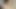 Foxy stacy bloom cums kullanma ona yapay penis ve ona vibratör